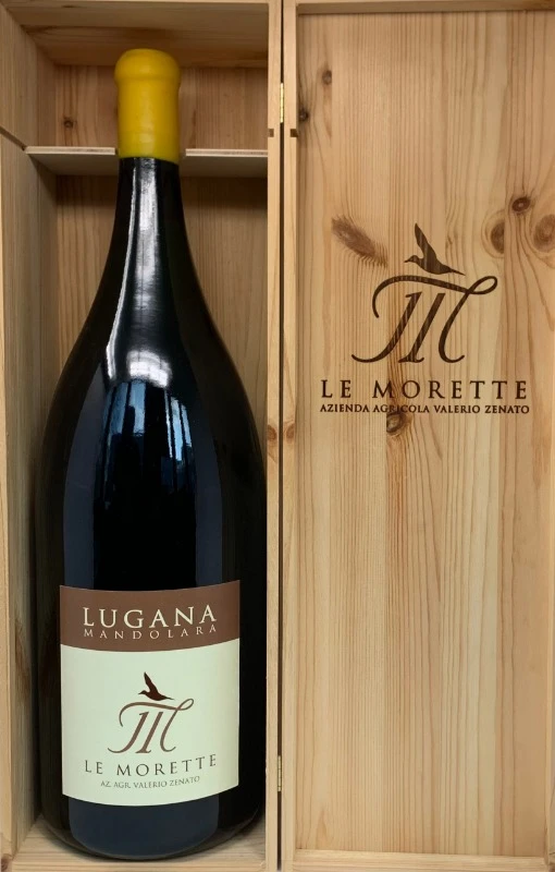 Lugana Mandolara 2023 Methusalem – Weißwein 6 L von Le Morette aus Venetien